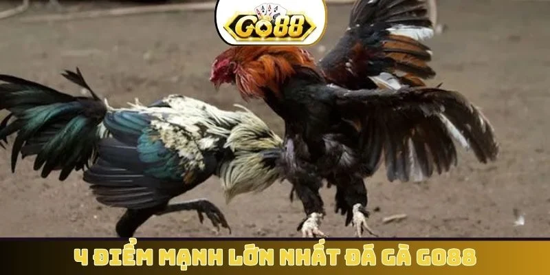 4 điểm mạnh lớn nhất đá gà GO88